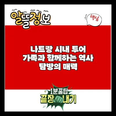 나트랑 시내 투어: 가족과 함께하는 역사 탐방의 매력