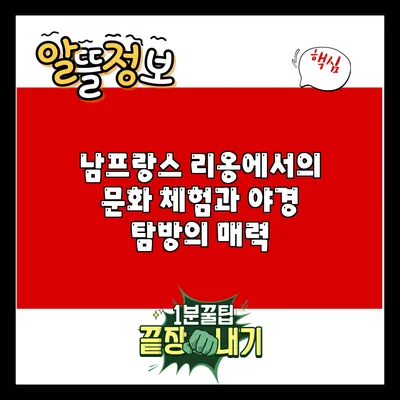 남프랑스 리옹에서의 문화 체험과 야경 탐방의 매력