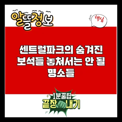 센트럴파크의 숨겨진 보석들: 놓쳐서는 안 될 명소들