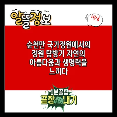 순천만 국가정원에서의 정원 탐방기: 자연의 아름다움과 생명력을 느끼다