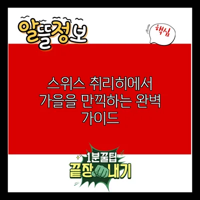 스위스 취리히에서 가을을 만끽하는 완벽 가이드