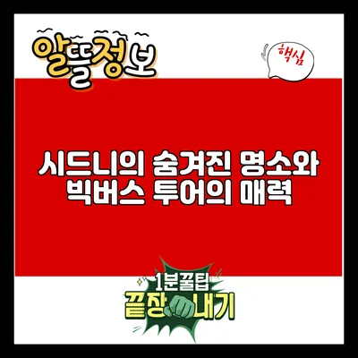 시드니의 숨겨진 명소와 빅버스 투어의 매력