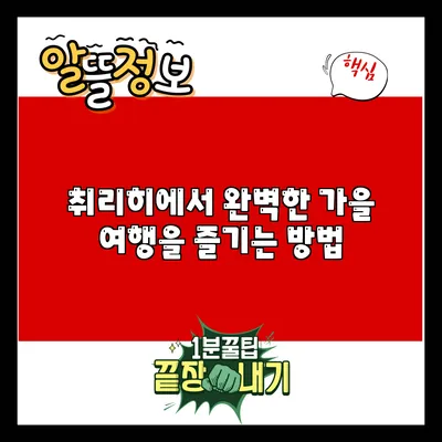취리히에서 완벽한 가을 여행을 즐기는 방법