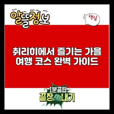 취리히에서 즐기는 가을 여행 코스 완벽 가이드