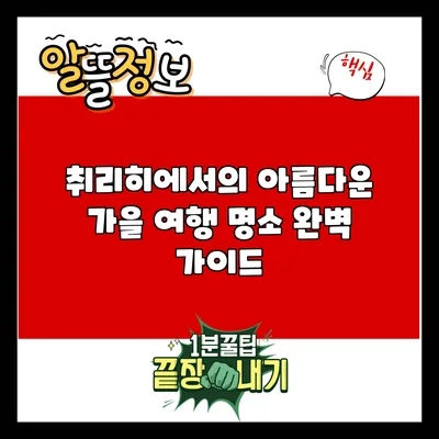 취리히에서의 아름다운 가을 여행 명소 완벽 가이드